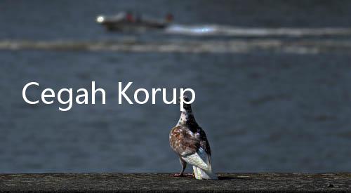Cegah Korupsi, KPK Tinjau Pelayanan Publik di Bantul dan Yogyakarta