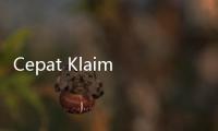 Cepat Klaim! Saldo DANA Kaget Ratusan Ribu di Hari Ahad