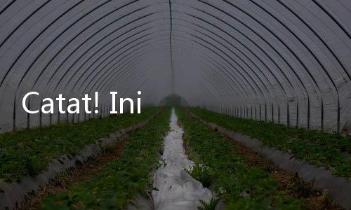 Catat! Ini Daftar Ratusan Emiten yang Bakal Gelar RUPS Pasca Libur Idul Adha